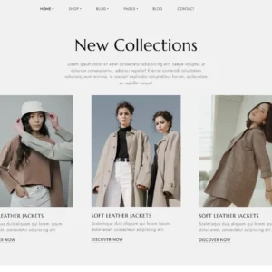 free template website ecommerce
