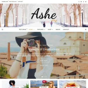 ashe-portal-wordpress-theme-free