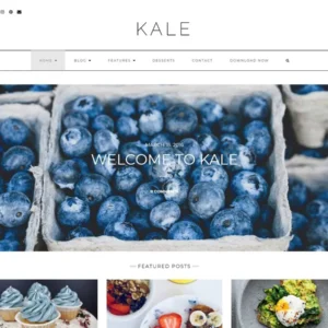kale-wordpress-theme-free