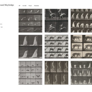 art-portfolio-template-free