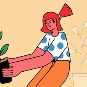 zanzi-free-illustration